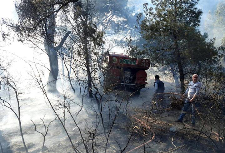 Soma'da korkutan orman yangını