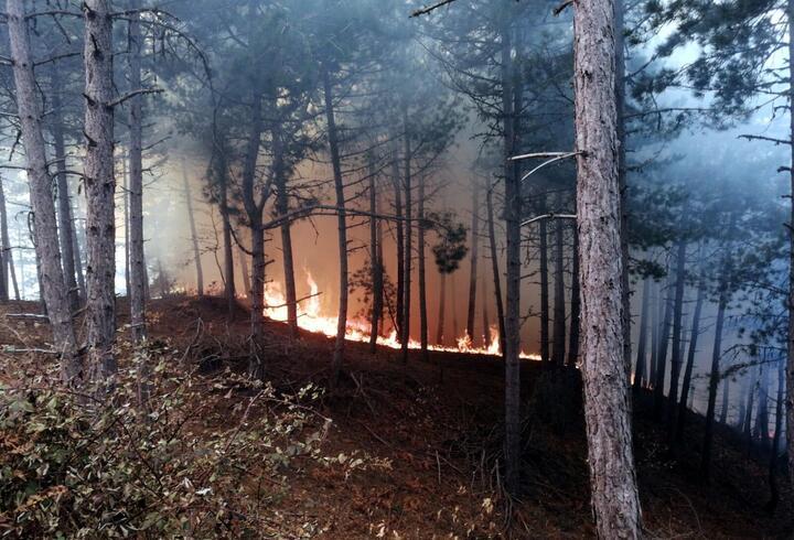 İzmir'de orman yangını  