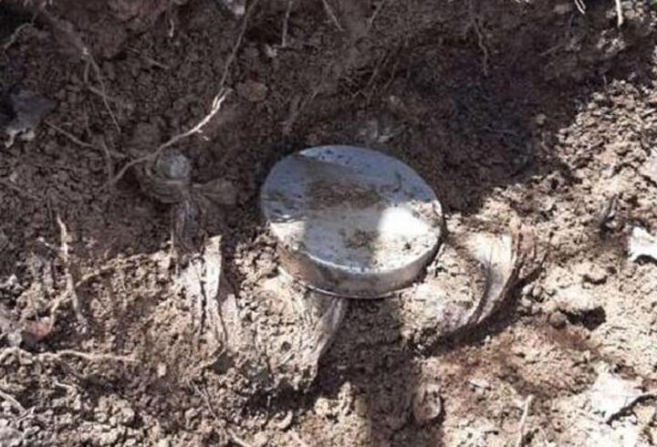 Muş'ta toprağa gömülü 12 kilo patlayıcı ele geçirildi