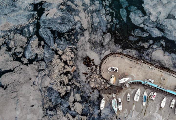 Bilim insanları müsilajda Marmara Denizi'ndeki son durumu değerlendirdi