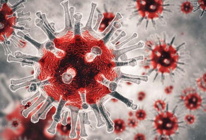HPV virüsü nedir? Bu hastalık kişiden kişiye nasıl bulaşıyor? Nelere dikkat edilmeli?