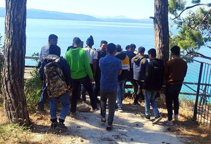 Muğla'da ormanda 62 kaçak göçmen yakalandı