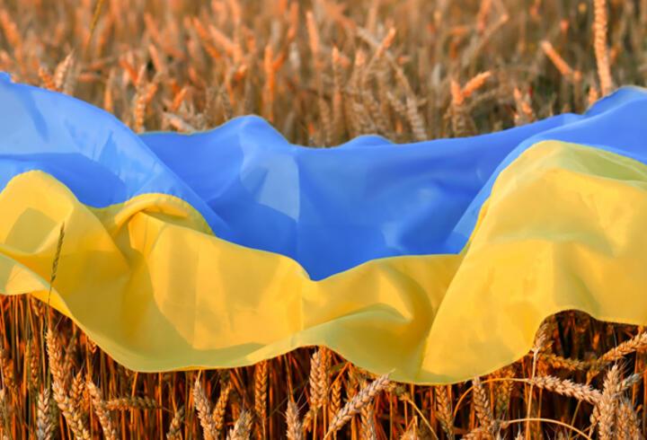 Son dakika haberi: Ukrayna'daki tahılların tahliyesi krizine İstanbul çözümü