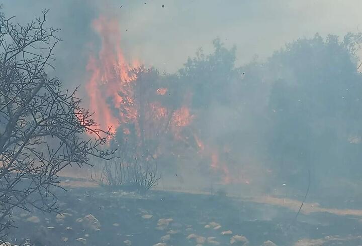 SON DAKİKA: Muğla'da iki ayrı noktada orman yangını!