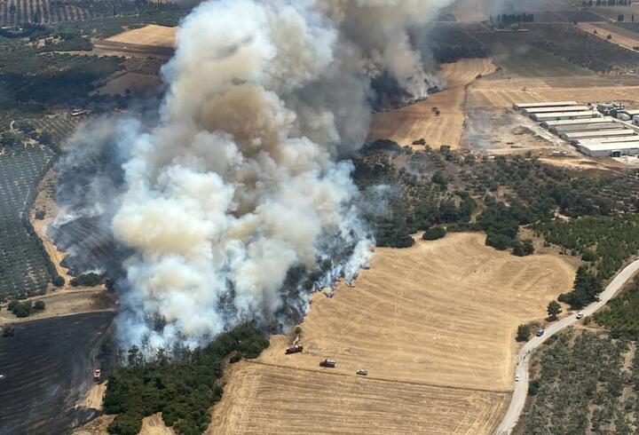 Son dakika... İzmir'de orman yangını