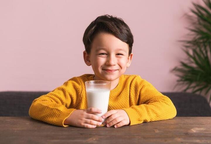 Eşek sütünün faydaları nelerdir? Eşek sütü neye iyi gelir?
