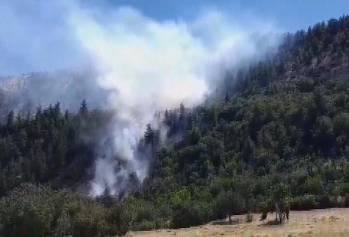 Karaman'da orman yangını