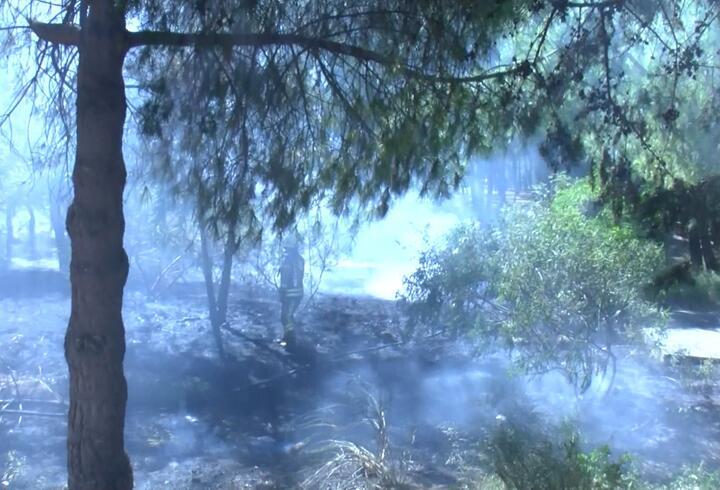 Bakırköy'de hastane bahçesinde yangın çıktı