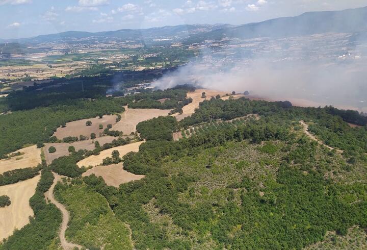 Çanakkale ve Tekirdağ'da orman yangını 