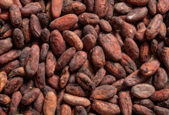 Kakaonun şaşırtıcı faydaları