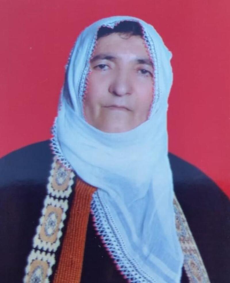 Tunceli'de anne ve oğlunun cinayet şüphelisi tutuklandı