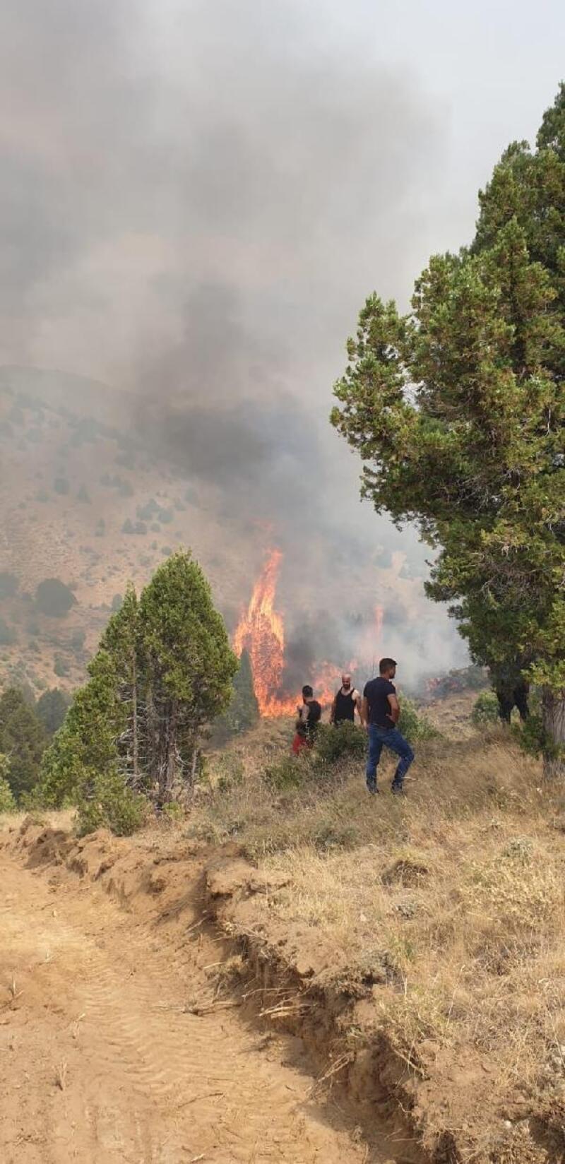 Kahramanmaraş'ta 5 hektar ormanlık alan yandı