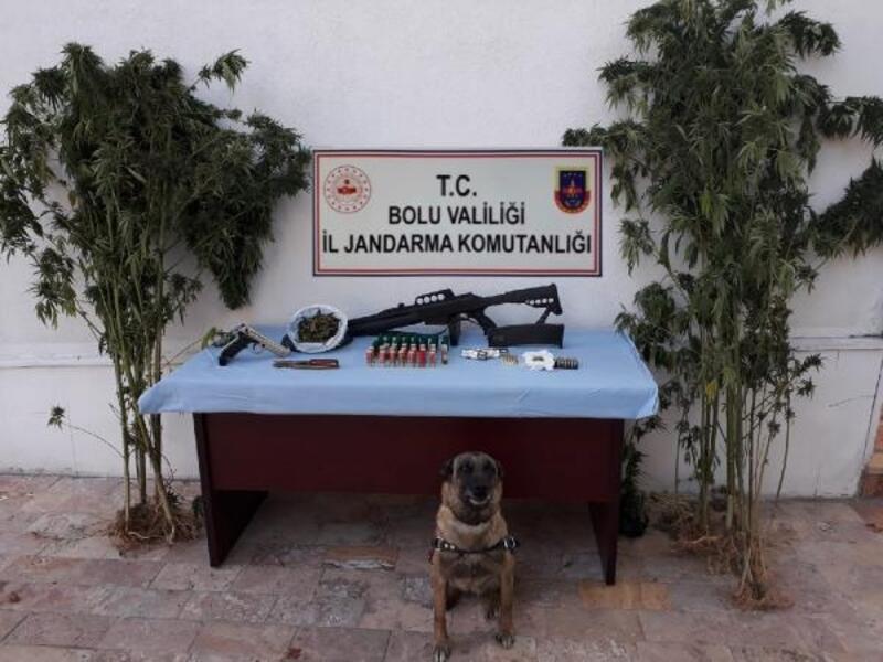 Bolu'da, uyuşturucu madde yetiştirilen eve operasyon: 2 gözaltı