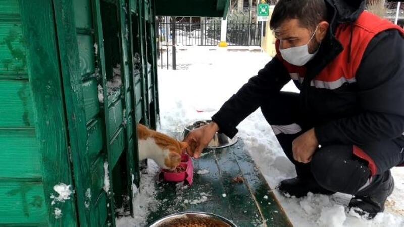 Sancaktepe Belediyesi karlı havada minik dostları unutmadı