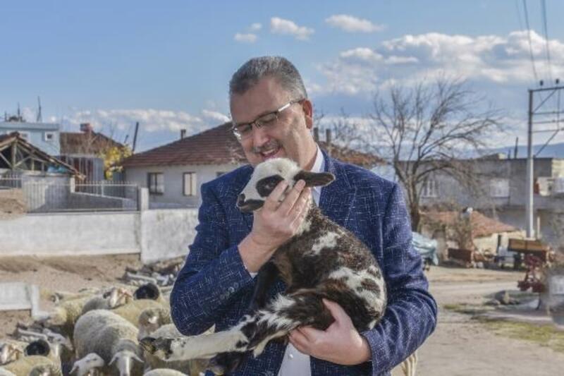 Karacabey Belediye Başkanı Özkan’dan sokak hayvanlarına duyarlılık çağrısı