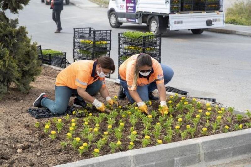 Büyükşehir ekipleri iki mahallede 15 bin bitkiyi toprakla buluşturdu
