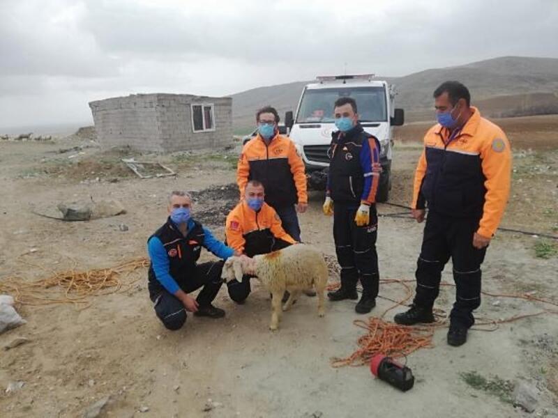 Kuyuya düşen kuzuyu AFAD ekipleri kurtardı