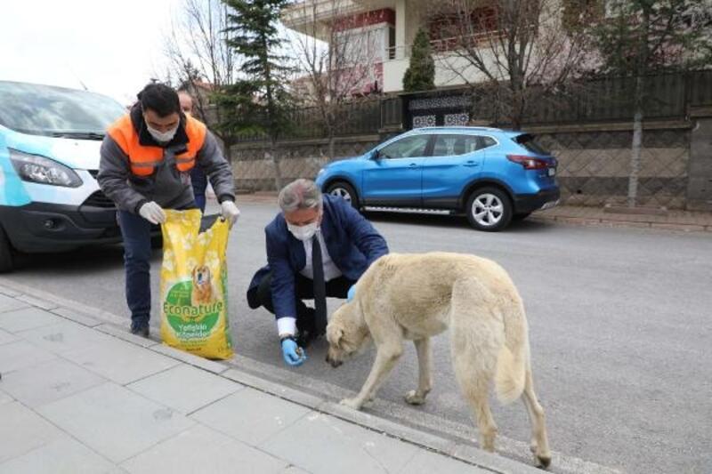 Melikgazi Belediyesi'nden sokak hayvanlarına mama desteği