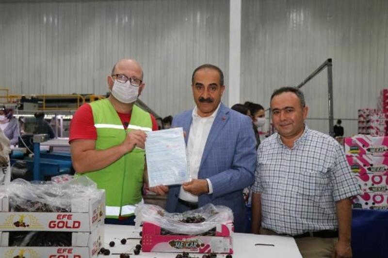 Kemalpaşa'da kiraz ve yaş meyve sebze ihracatına inspektör desteği