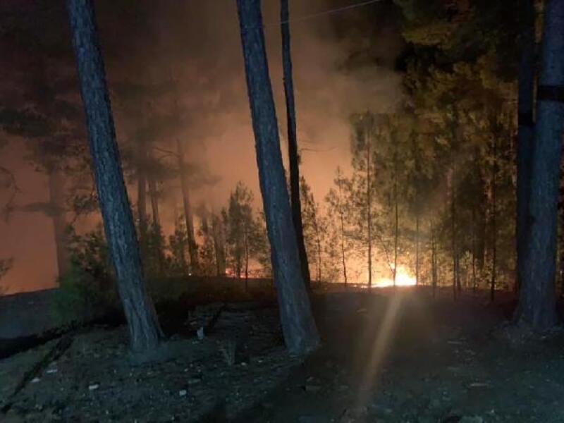 Alanya'da orman yangını büyümeden söndürüldü