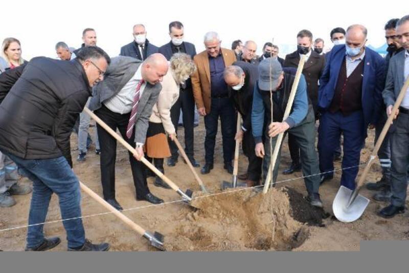 Alaşehir'de 2 bin 500 cennet hurması toprakla buluştu