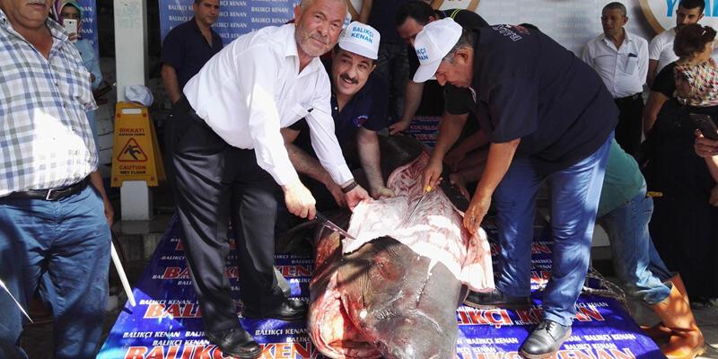 İstanbul'da kanser hastalarına köpek balığı eti dağıtıldı Son Dakika