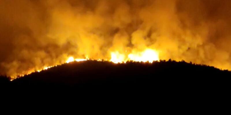 Hatay'da yangın! Alevler tekrar yükseldi - Son Dakika Haberleri İnternet