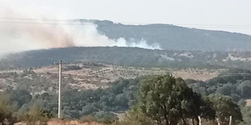 Bir yangın haberi de Balıkesir'den - Günün Haberleri