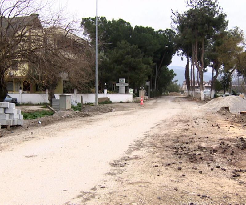 İznik'te yarım asırlık ağaçlar kuruduğu gerekçesiyle kesiliyor 