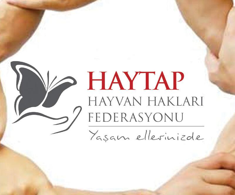 HAYTAP Başkanı Şenpolat: "4 Ekim’i kutlamıyoruz”