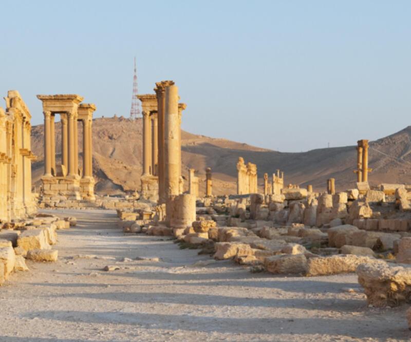 Palmira Nerede, Nasıl Gidilir? Palmira Antik Kenti Hangi Ülkededir?
