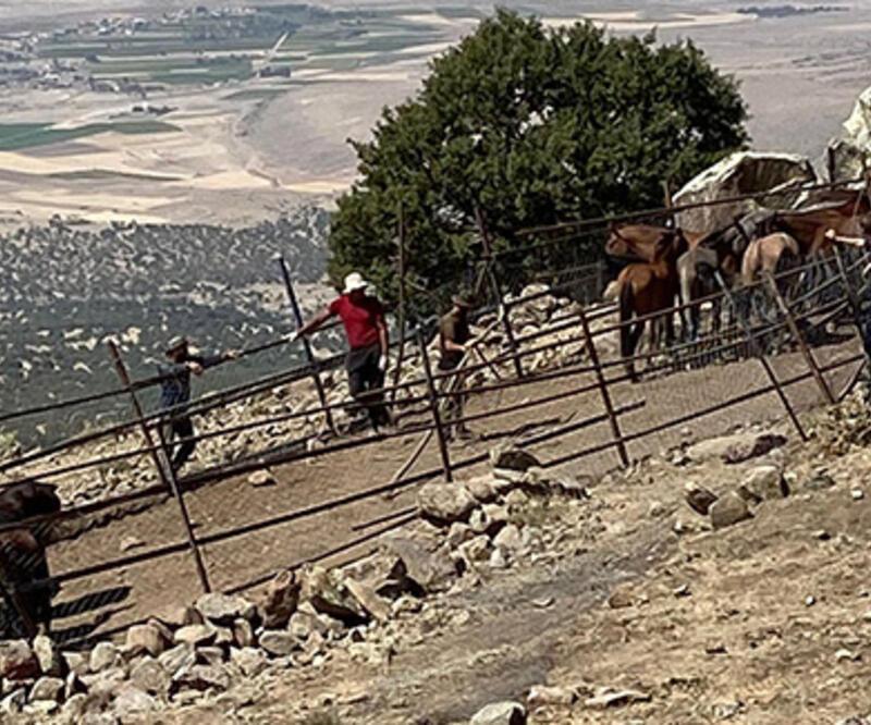 Konya'da izinsiz yılkı atı toplayan yabancı uyruklu 4 kişi yakalandı