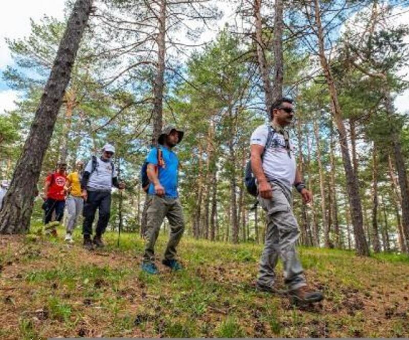 Sivas'ta ormanlar kamp ve doğaseverleri ağırlıyor