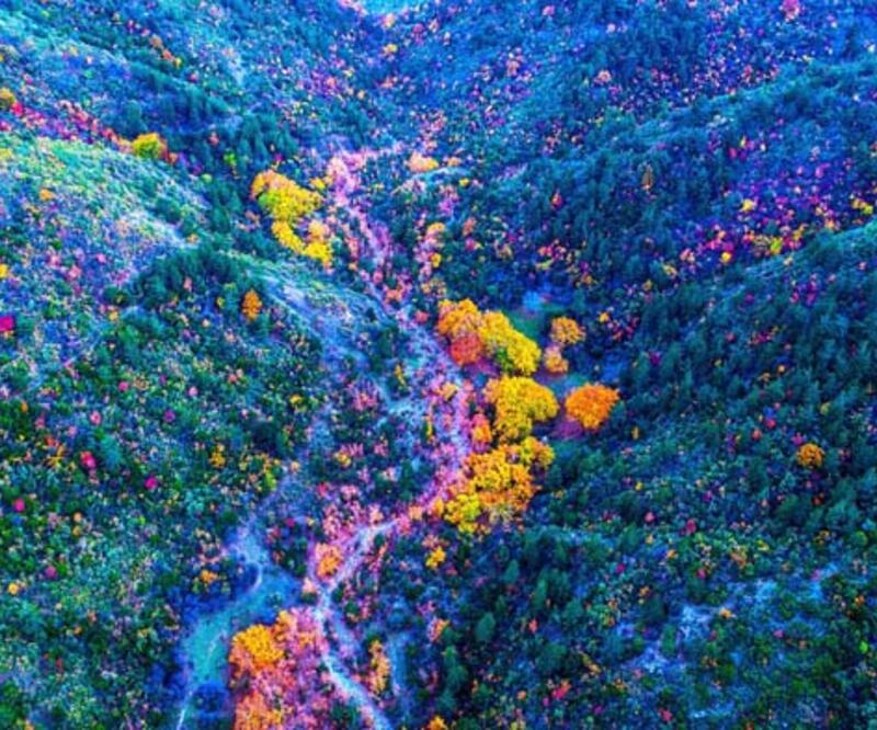 Spil Dağı'ndan sonbahar manzaraları