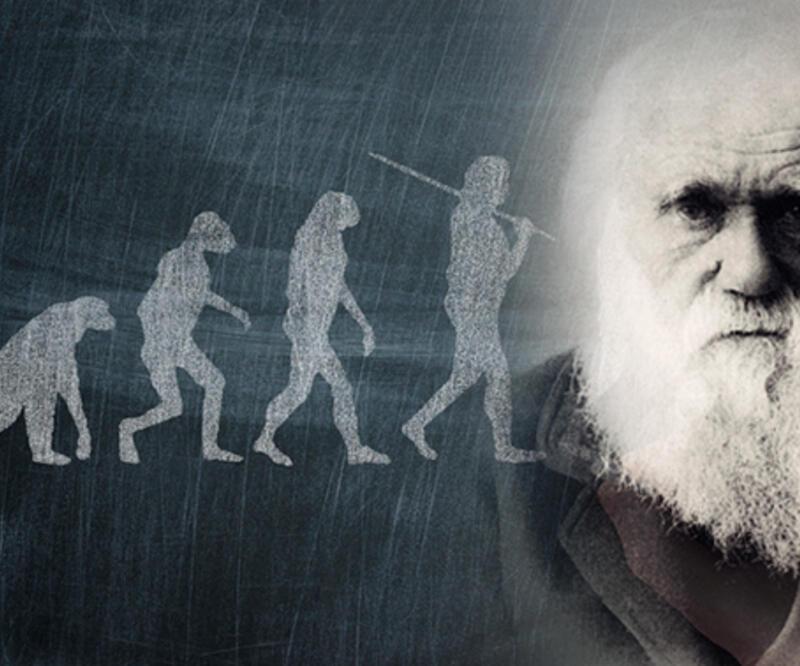 'Evrim teorisi' çalıntı iddiası bilim dünyasını sarstı