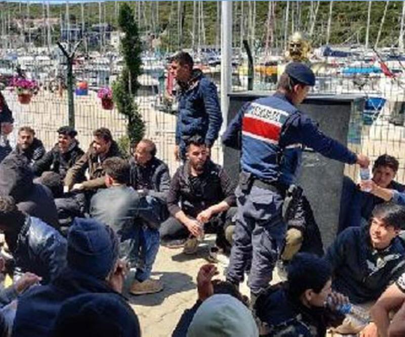 Düzensiz göçle mücadelede 'huzur' uygulaması: 29 gözaltı