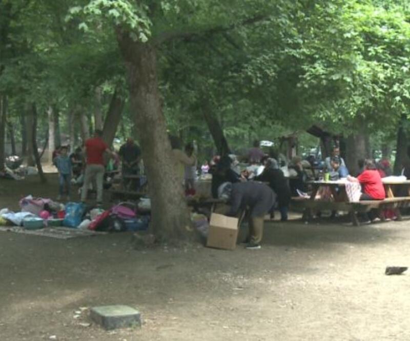 Piknikçiler Belgrad Ormanı'na akın etti