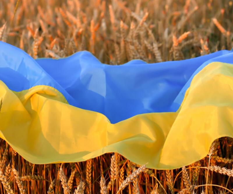 Son dakika haberi: Ukrayna'daki tahılların tahliyesi krizine İstanbul çözümü