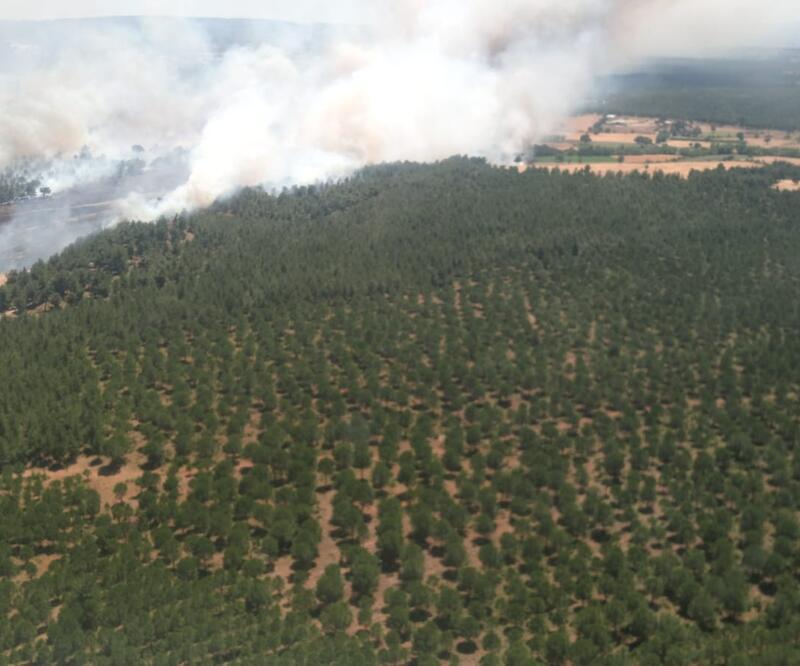 Çanakkale'de tarladaki yangın ormana sıçradı
