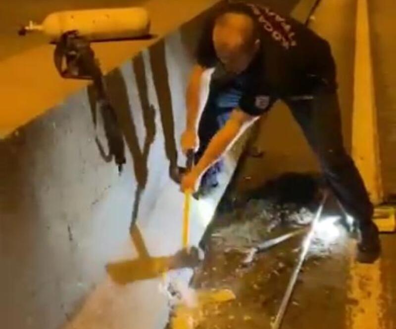 Yavru kediyi kurtarmak için beton bariyeri kırdılar