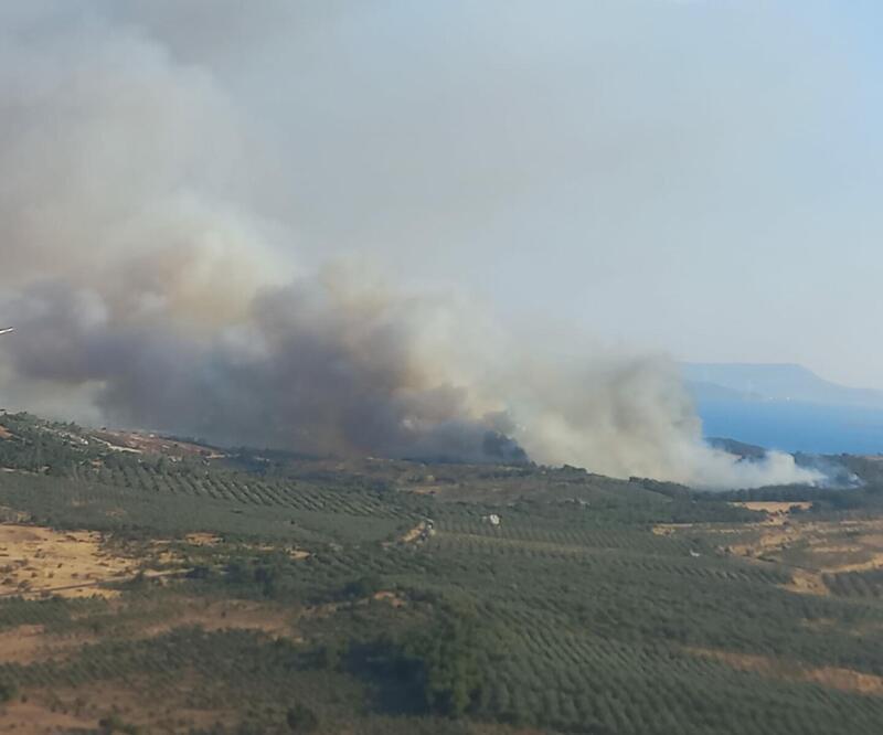 İzmir'de tarım alanında yangın