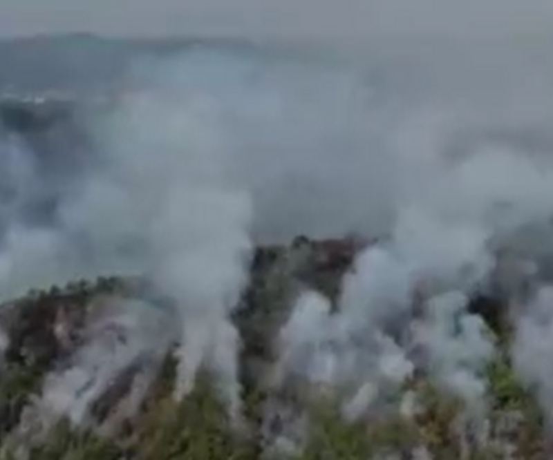 Çin’de orman yangını: Yüzlerce kişi tahliye edildi