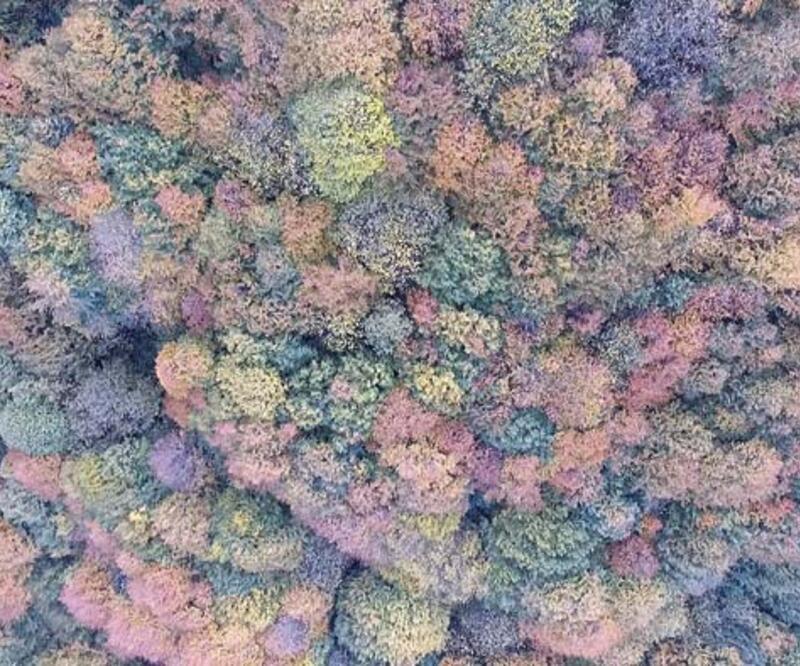 Düzce'de sonbahar renkleri dronla görüntülendi